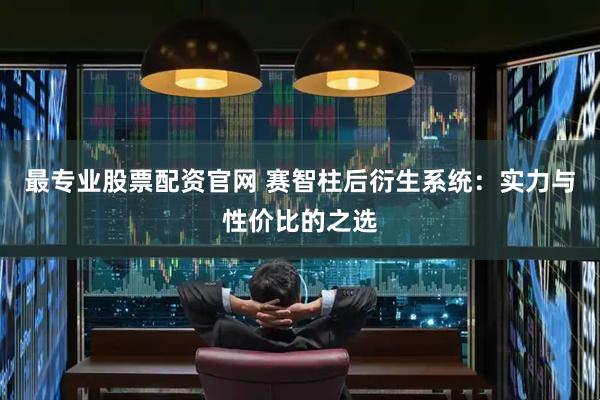 最专业股票配资官网 赛智柱后衍生系统：实力与性价比的之选