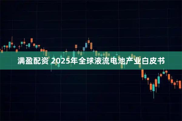 满盈配资 2025年全球液流电池产业白皮书