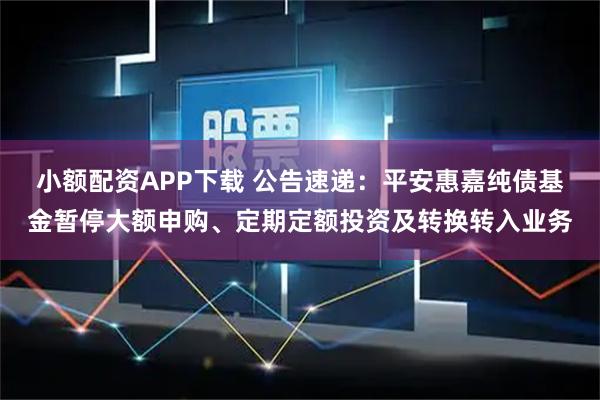 小额配资APP下载 公告速递:平安惠嘉纯债基金暂停大额申购、定期定额投资及转换转入业务