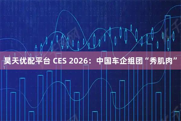 昊天优配平台 CES 2026：中国车企组团“秀肌肉”