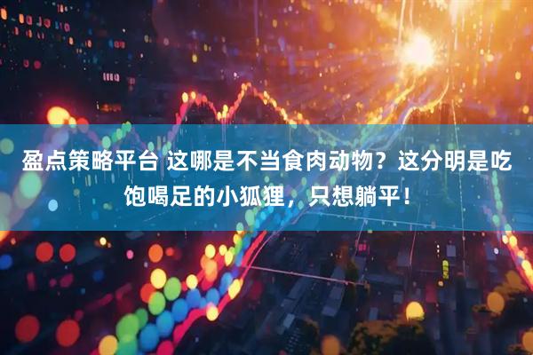 盈点策略平台 这哪是不当食肉动物？这分明是吃饱喝足的小狐狸，只想躺平！