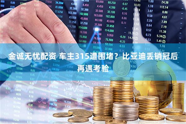 金诚无忧配资 车主315遭围堵?比亚迪丢销冠后再遇考验