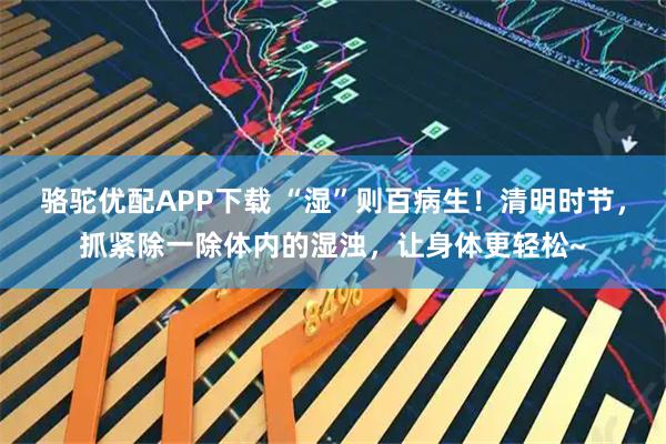 骆驼优配APP下载 “湿”则百病生！清明时节，抓紧除一除体内的湿浊，让身体更轻松~